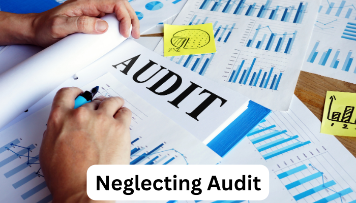 Neglecting the Audit