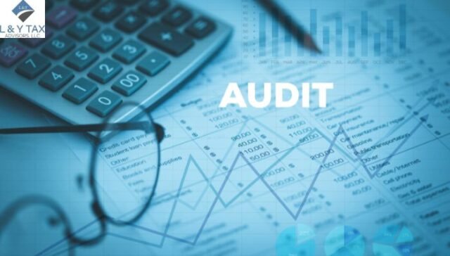 How Do You Report a Going Concern Issue in an Audit Report