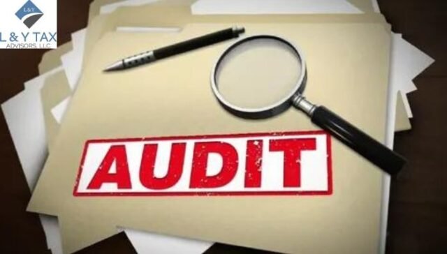 What Does a State Auditor Do