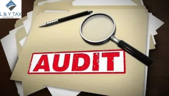 What Does a State Auditor Do