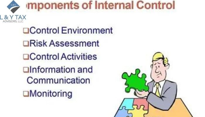 What is a Component Auditor