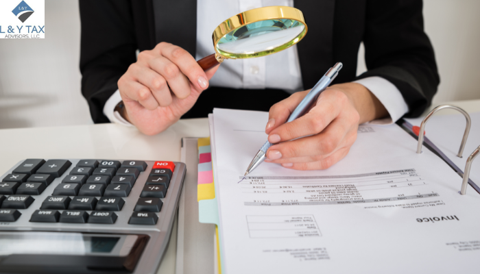 What is the Role of an Auditor