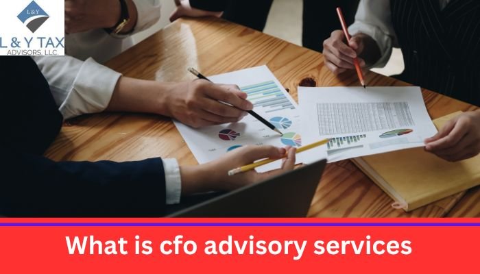 What is CFO Advisory Services