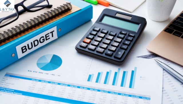 What is Cash or Revenue Budget