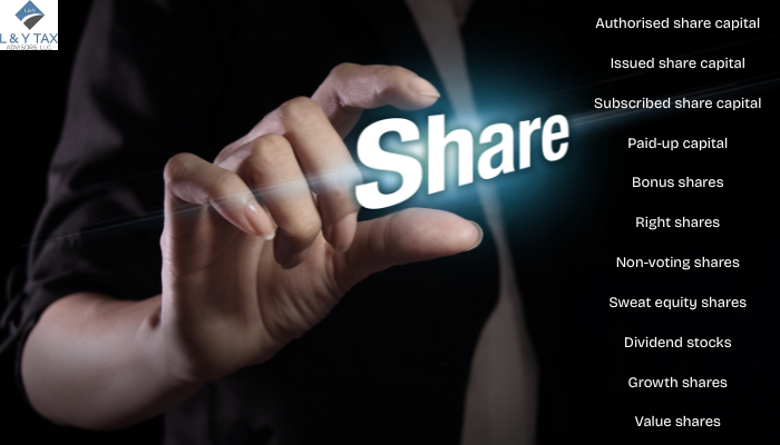 What is Share and Its Types